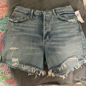 Agolde Dee Shorts in Ricochet